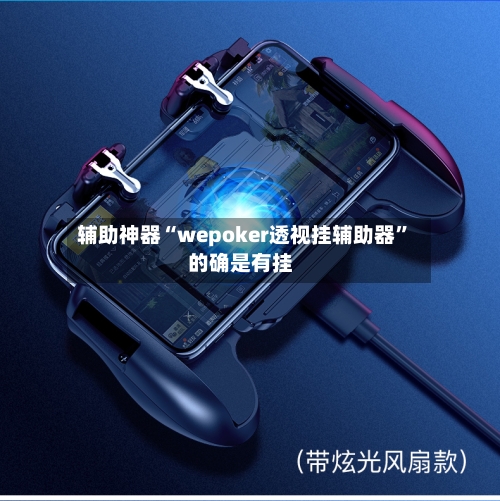 辅助神器“wepoker透视挂辅助器”的确是有挂-第3张图片