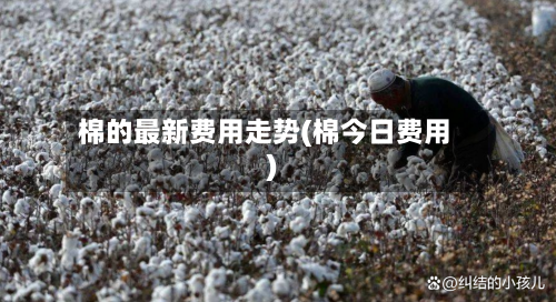 棉的最新费用走势(棉今日费用)-第2张图片