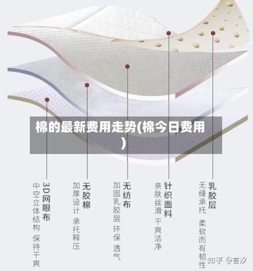 棉的最新费用走势(棉今日费用)