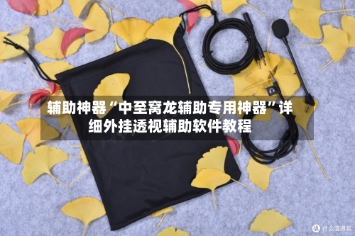 辅助神器“中至窝龙辅助专用神器	”详细外挂透视辅助软件教程-第2张图片