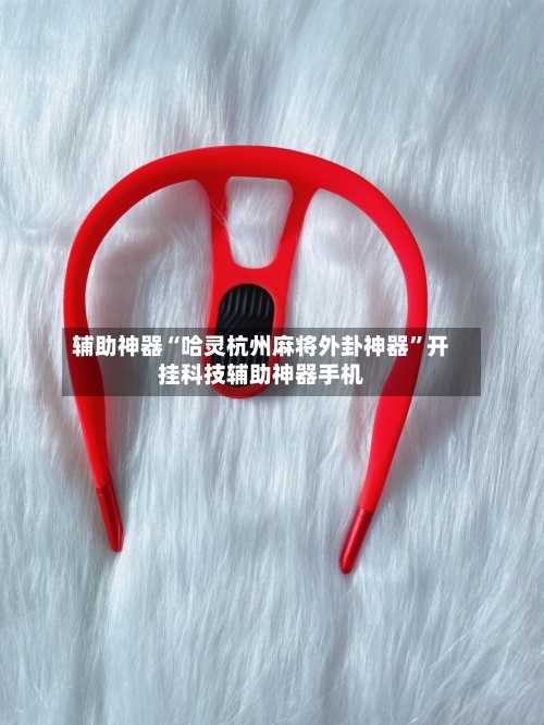 辅助神器“哈灵杭州麻将外卦神器”开挂科技辅助神器手机-第3张图片