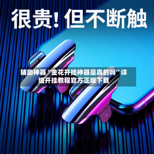 辅助神器“金花开挂神器是真的吗”详细开挂教程官方正版下载-第3张图片
