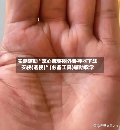 实测辅助“掌心麻将圈外卦神器下载安装(透视)”(必备工具)辅助教学