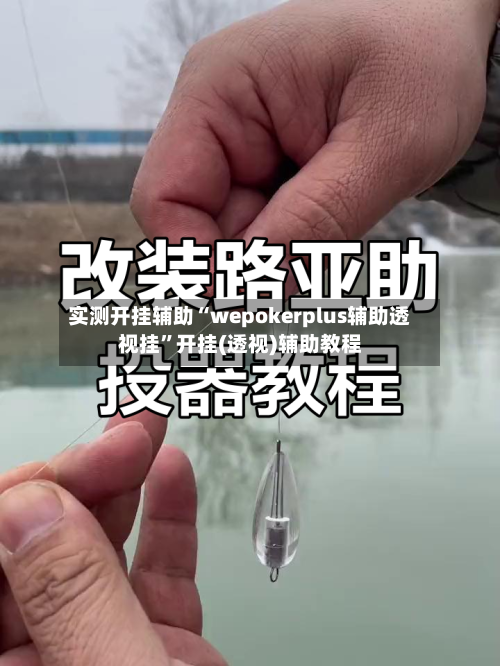 实测开挂辅助“wepokerplus辅助透视挂”开挂(透视)辅助教程-第2张图片