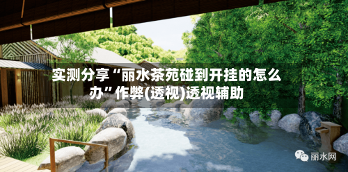 实测分享“丽水茶苑碰到开挂的怎么办”作弊(透视)透视辅助-第3张图片