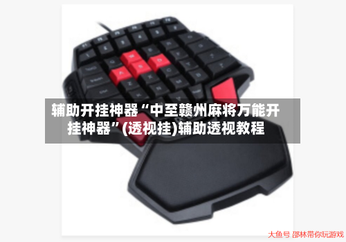 辅助开挂神器“中至赣州麻将万能开挂神器”(透视挂)辅助透视教程-第2张图片