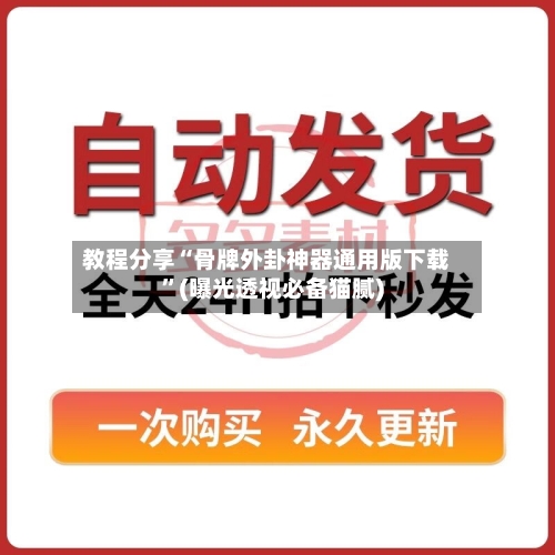 教程分享“骨牌外卦神器通用版下载”(曝光透视必备猫腻)-第2张图片