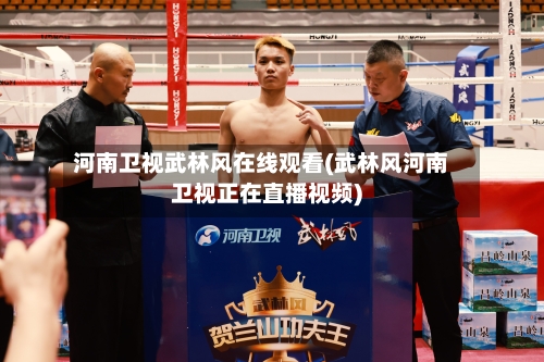河南卫视武林风在线观看(武林风河南卫视正在直播视频)