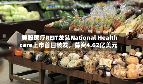 美股医疗REIT龙头National Healthcare上市首日破发，募资4.62亿美元-第3张图片