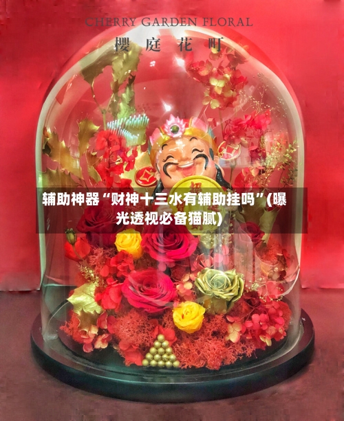 辅助神器“财神十三水有辅助挂吗	”(曝光透视必备猫腻)-第3张图片