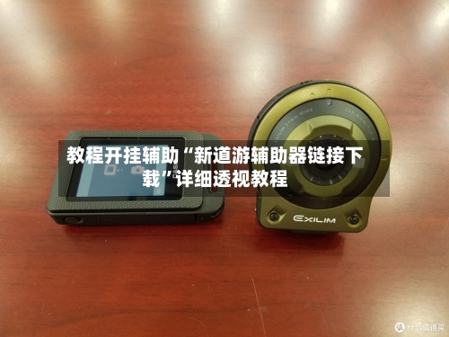 教程开挂辅助“新道游辅助器链接下载”详细透视教程-第2张图片