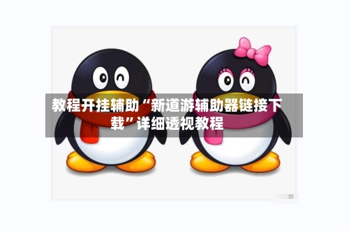 教程开挂辅助“新道游辅助器链接下载”详细透视教程-第3张图片