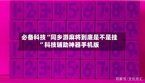 必备科技“同乡游麻将到底是不是挂”科技辅助神器手机版-第3张图片