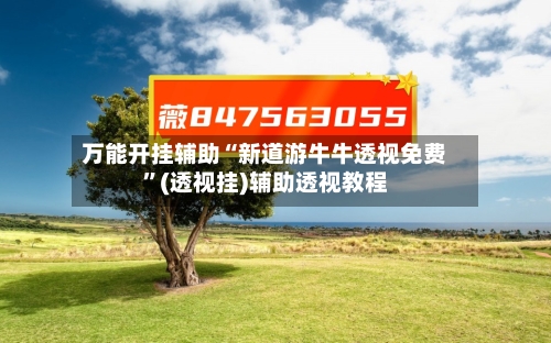 万能开挂辅助“新道游牛牛透视免费”(透视挂)辅助透视教程-第3张图片