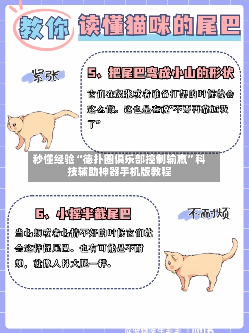 秒懂经验“德扑圈俱乐部控制输赢”科技辅助神器手机版教程