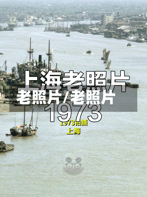 老照片/老照片