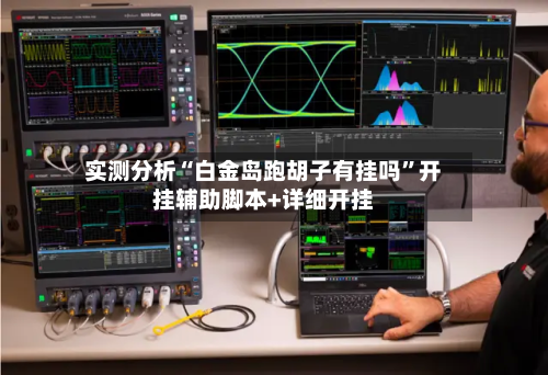 实测分析“白金岛跑胡子有挂吗”开挂辅助脚本+详细开挂-第3张图片