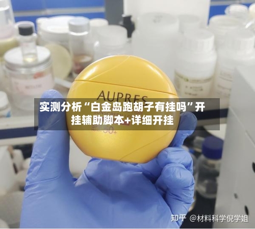 实测分析“白金岛跑胡子有挂吗”开挂辅助脚本+详细开挂-第2张图片