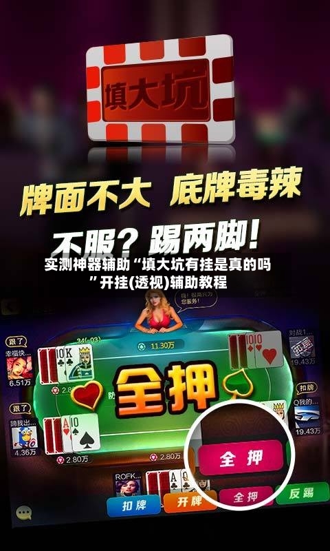 实测神器辅助“填大坑有挂是真的吗”开挂(透视)辅助教程-第3张图片