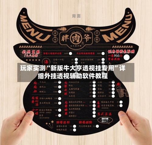 玩家实测“新版牛大亨透视挂专用”详细外挂透视辅助软件教程-第3张图片