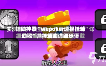 辅助神器“wepoker透视挂辅助器”开挂辅助详细步骤-第3张图片