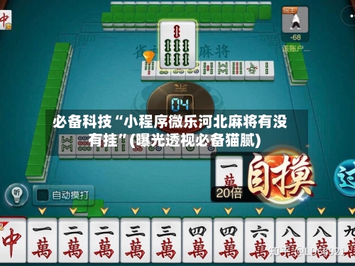 必备科技“小程序微乐河北麻将有没有挂	”(曝光透视必备猫腻)-第2张图片