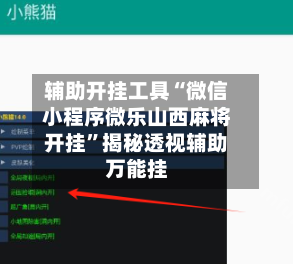 辅助开挂工具“微信小程序微乐山西麻将开挂”揭秘透视辅助万能挂-第3张图片