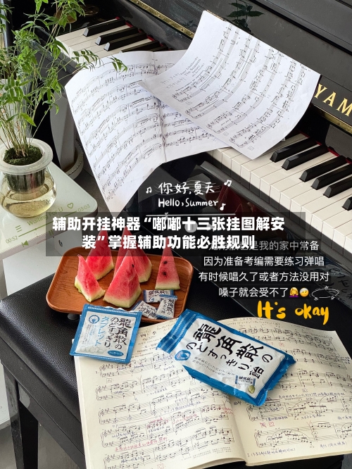 辅助开挂神器“嘟嘟十三张挂图解安装	”掌握辅助功能必胜规则-第2张图片