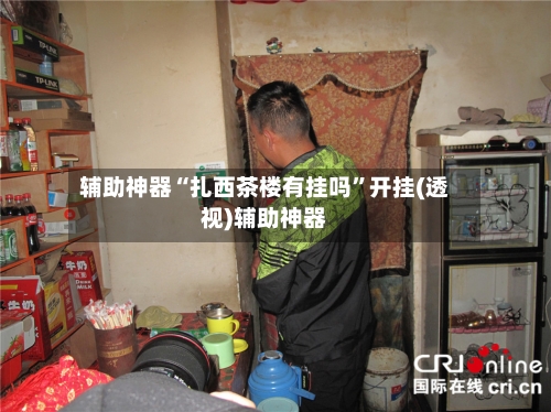 辅助神器“扎西茶楼有挂吗”开挂(透视)辅助神器-第3张图片