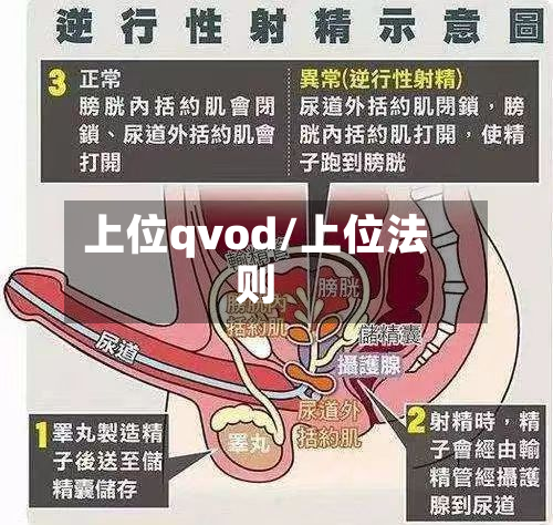上位qvod/上位法则