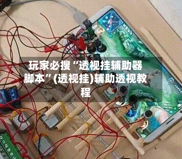 玩家必搜“透视挂辅助器脚本”(透视挂)辅助透视教程-第2张图片