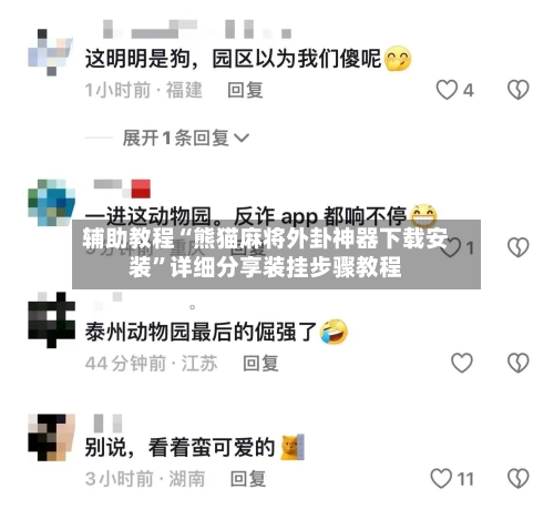 辅助教程“熊猫麻将外卦神器下载安装”详细分享装挂步骤教程-第2张图片