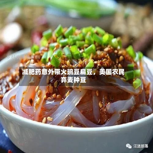 减肥药意外带火豌豆扁豆，美国农民弃麦种豆-第3张图片