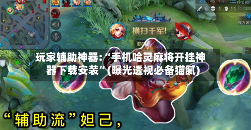 玩家辅助神器:“手机哈灵麻将开挂神器下载安装”(曝光透视必备猫腻)-第3张图片