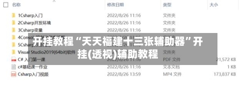 开挂教程“天天福建十三张辅助器	”开挂(透视)辅助教程-第2张图片