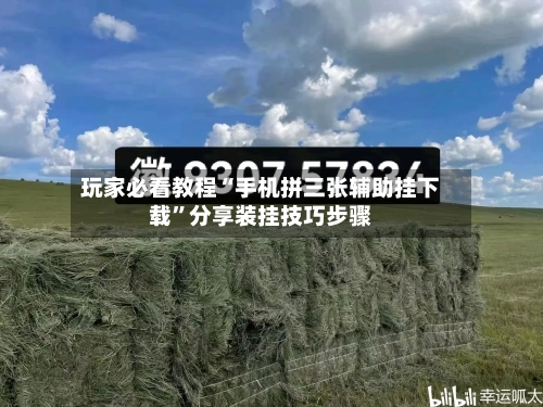 玩家必看教程“手机拼三张辅助挂下载”分享装挂技巧步骤