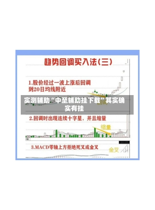 实测辅助“中至辅助挂下载”其实确实有挂-第3张图片