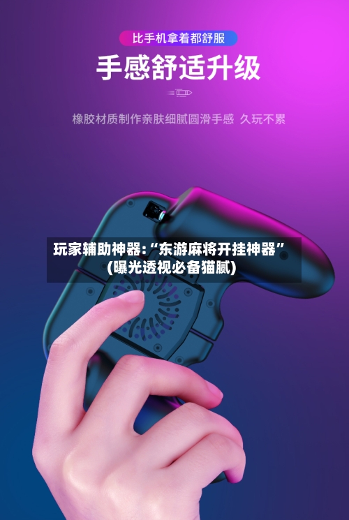 玩家辅助神器:“东游麻将开挂神器”(曝光透视必备猫腻)-第3张图片