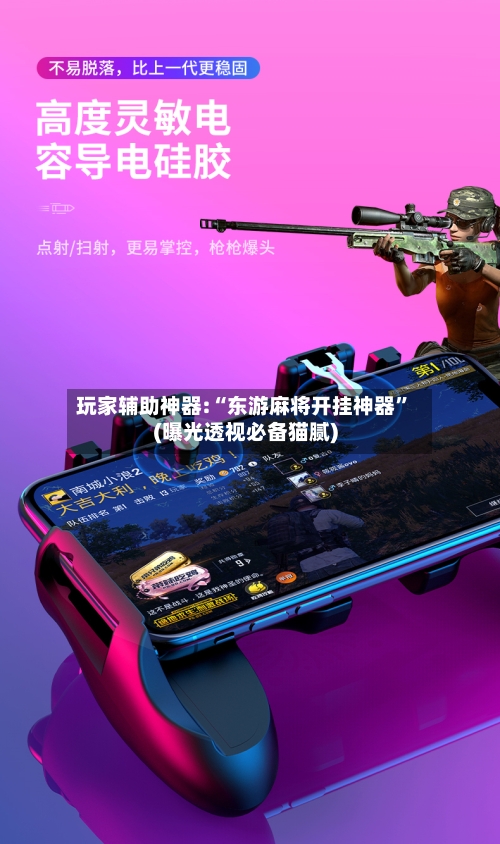 玩家辅助神器:“东游麻将开挂神器”(曝光透视必备猫腻)-第2张图片