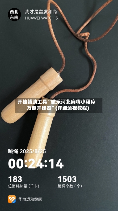 开挂辅助工具“微乐河北麻将小程序万能开挂器	”(详细透视教程)-第2张图片