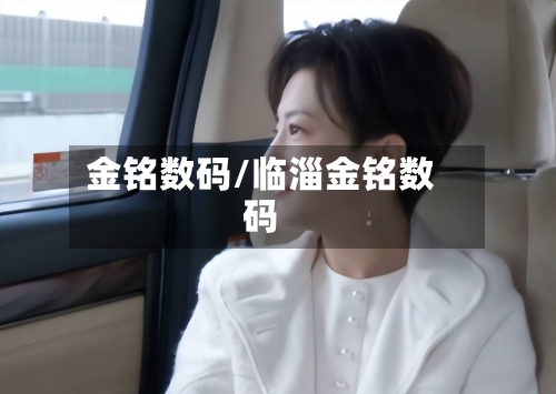 金铭数码/临淄金铭数码