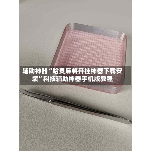 辅助神器“哈灵麻将开挂神器下载安装	”科技辅助神器手机版教程-第3张图片