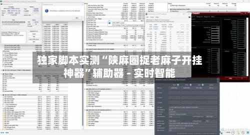 独家脚本实测“陕麻圈捉老麻子开挂神器”辅助器 - 实时智能-第2张图片