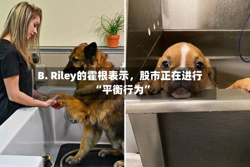 B. Riley的霍根表示	，股市正在进行“平衡行为	”-第2张图片