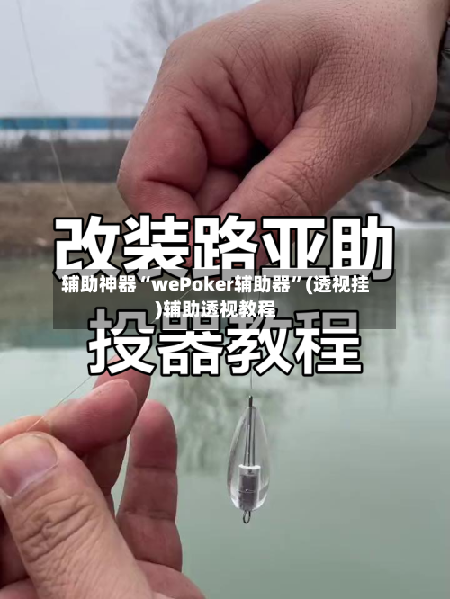 辅助神器“wePoker辅助器”(透视挂)辅助透视教程-第2张图片