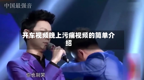 开车视频晚上污痛视频的简单介绍-第2张图片