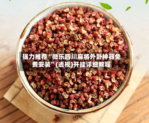 强力推荐“微乐四川麻将外卦神器免费安装	”(透视)开挂详细教程-第2张图片