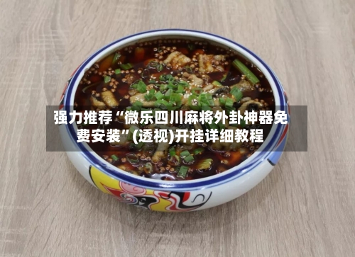 强力推荐“微乐四川麻将外卦神器免费安装”(透视)开挂详细教程-第3张图片