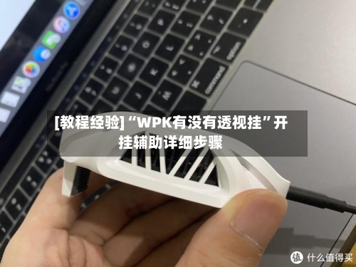 [教程经验]“WPK有没有透视挂”开挂辅助详细步骤-第2张图片