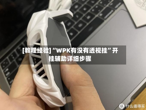 [教程经验]“WPK有没有透视挂”开挂辅助详细步骤-第3张图片